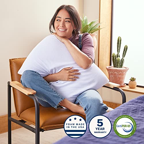 Sleep Innovations Classic Memory Foam Pillow, Queen Size, Head And Neck Alignment, Side, Stomach, And Back Sleepers, Medium Support, White #TOP6