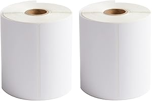 Zebra Labels 4x6 Shipping Labels 2 Rolls 250 Labels/Roll for Zebra 2844 ZP-450 ZP-500 ZP-505