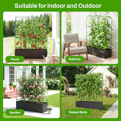 U-Shape Cucumber Trellis with Grow Bag, 64" Tall Metal Garden Trellis for Climbing Plants Outdoor, Reusable Cucumber Trellis for Raised Bed with Garden Netting for Tomatoes, Peas, Plant Vines Support by MQHUAYU - Used condition - Image 5