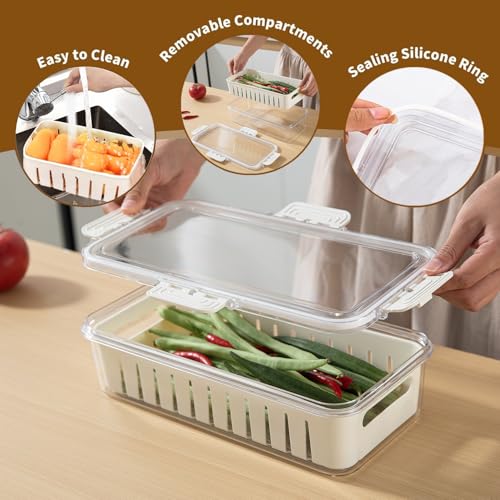 Image of HOKIPO BPA Free Food Grade Plastic Fridge Storage Containers with Lid - Crisper Containers for Fresh Vegetables, Fruits & Food | Freezer & Kitchen Organizer Set for Home Use (AR-6100)
