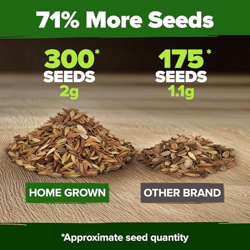 Image of HOME GROWN Dwarf Zinnia Seeds Mix - 300 Pumila Zinnia Seeds for 2026 (0.6g) | Zinnia Flower Seeds for Planting Outdoors | Colorful Cut Annual Flowers for Summer Gardens & Containers (Zinnia elegans)