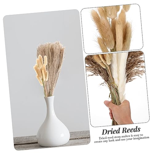 Arreglo de Ramas Secas para Decoración Elegante miniatura 5