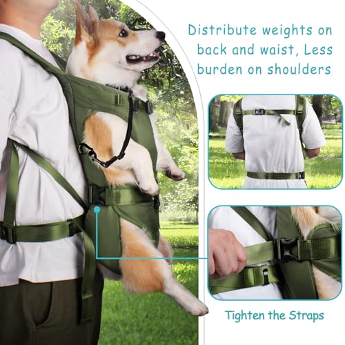 PetBonus Pet Front Dog Carrier Backpacks, Adjustable Pet Backpack, Legs Out Easy-fit Puppy Chest Carrier for Medium Small Dogs, Hands Free for Hiking, Cycling (Army Green, S) - Image 4