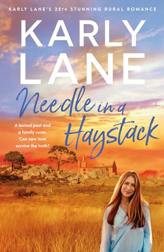 Needle in a Haystack view 2