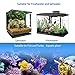 YOFOTHS Adjustable Mini Aquarium Heater 10-20 Gallons Submersible Small Fish Tank Heater 100W Digital Display Thermostat External Temperature Controller (100W)