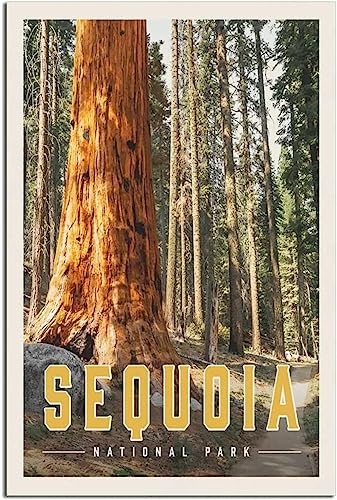 Lienzo póster decorativo de Sequoia National Park en estilo vintage 50x75cm