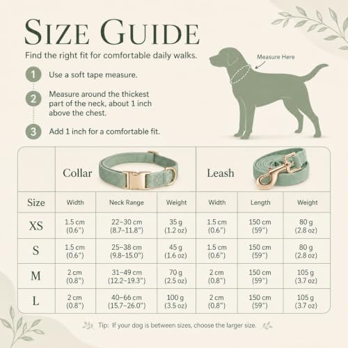 YUDOTE Hundehalsband und Leine Set Klein, Weiche Reizfreie Cord-Halsband-Leine Passende Combo für Den Täglichen Spaziergang, Salbeigrün