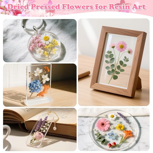 Image of Evatage 630 Pcs Dried Pressed Flowers & Butterfly Stickers for Resin Crafts | Real Dry Florals Plants Leaves for Resin Jewelry Molds, Candle, Soap, Scrapbook, Bookmark, Frame, Card Making, Nail Art Decor