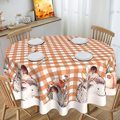 Gpmaoyi Fall Tablecloth Round 60 Inch - Orange Buffalo Plaid Table Cloth Cute Pumpkin Squirrel Thanksgiving Tablecloths Waterproof Table Cover Fall Decorations For Home #TOP1