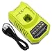 Battery Charger for Ryobi 18v, Fhybat Replacement 9.6-18 Volt P117 P102 One+ Dual Chemistry IntelliPort Lithium Ion, NiCad and Nimh Charger