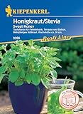 Kiepenkerl Profi-Line Honigkrautsamen Sweet Honey 3286 - Topfpflanze für Fensterbank, Terrasse und Balkon - Wuchshöhe ca. 30 cm - Kräutersamen - Saatgut