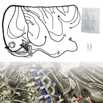 PPNZQAUT Standalone Wiring Harness 4L60E DBW | LS3 Swap Wiring Harness