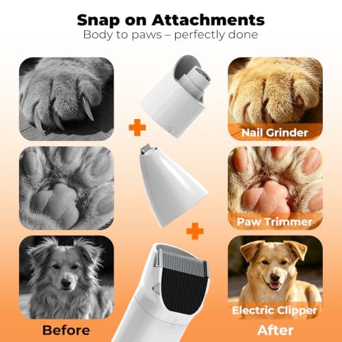 Dog Grooming Vacuum Kit, Pet Hair Vacuum for Shedding - Image 4