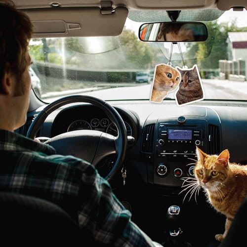 Image of 6Pcs Funny Car Air Freshener for Women Girls Men Cute Freshener Ornaments Cat Meme Funny Personalized Car Hanging Accessories Cat Car Accessories