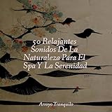 Arroyo Tranquilo