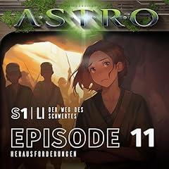 Herausforderungen cover art