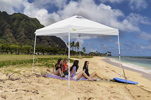image for CROWN SHADES Pop up Canopy, Slant Leg Outside Canopy Top 9x9 ft, Base 