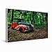 Produktbild Premium Textil-Leinwand 90 x 60 cm Quer-Format BMW - verlassener im Wald | Wandbild, HD-Bild auf Keilrahmen, Fertigbild auf hochwertigem Vlies, Leinwanddruck von Heribert Adams foto-you.de