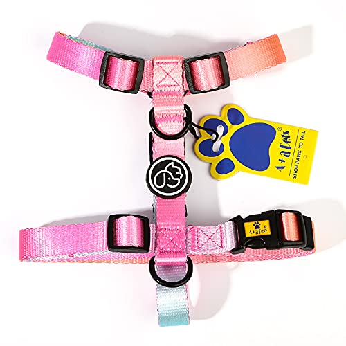 See full amazon price history chart for A+a Pets H-Harness for Dogs, Puppies, Cats, Made with Soft and Waterproof Nylon Material (Large, Pink/Blue) A+a Pets H-Harness for Dogs, Puppies, Cats, Made with Soft and Waterproof Nylon Material (Large, Pink/Blue) (B09B2LP9KK) Amazon Price History, Amazon Price Tracker