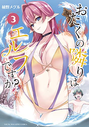 『おたくの隣りはエルフですか?』3巻