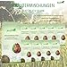 Stiefel Hustenkräuter für Pferde, 100% naturbelassene Kräutermischung, kann die Atemwege und Bronchien unterstützen, dauerhaft oder in gezielten Phasen, 1kg