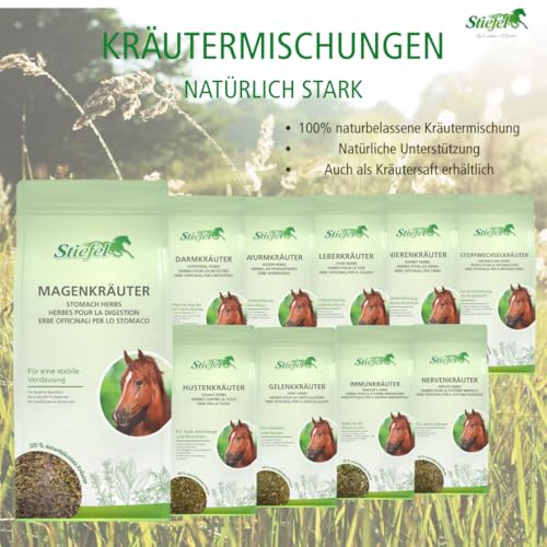 Stiefel Darmkräuter für Pferde, 100% naturbelassene Kräutermischung, kann zur Unterstützung des Magen-Darmtraktes beitragen, dauerhaft oder in gezielten Phasen, 1kg