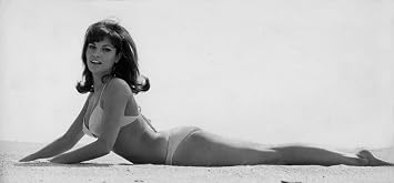 Raquel Welch lying on beach in a bikini Photo Print 10 x 8