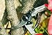 Felco F-13 Pruning Shears – 10.6