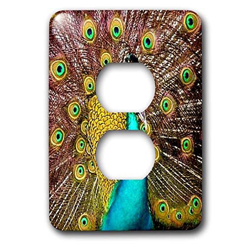 3dRose Jts[RbN-2vORZgJo[(LSP_959_6)Ae