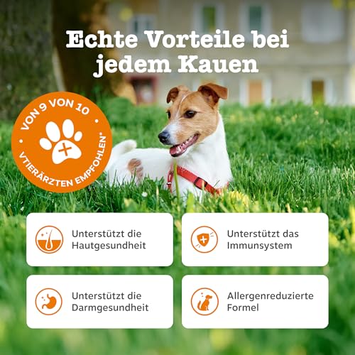 Zesty Paws Allergie & Immunität Chews | Nahrungsergänzungsmittel für Hunde | Für eine Gesunde Körperfunktion | Reich an Lachsöl Hunde & Omega 3 Öl | 90 STK
