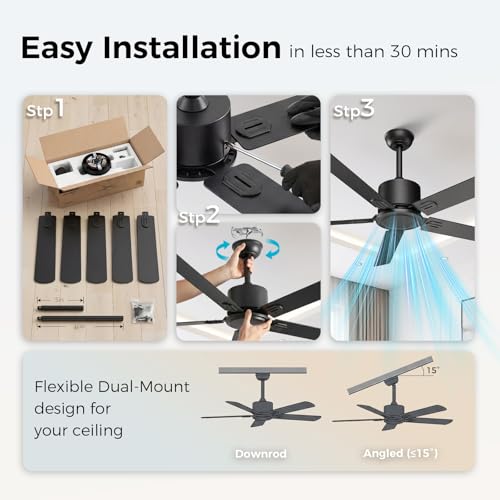 Image of Obabala Outdoor Ceiling Fan No Light, 52 Inch Black Modern Ceiling Fan Without Light, Dual Finish 5 Blades,6 Speed, Reversible Quiet DC Motor for Patios, Garage, Bedroom, Porch