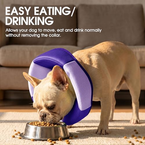 Image of Dog Cone - Soft Cone for Dogs to Stop Licking, Pet E-Collar Alternative After Surgery, Adjustable Pet Recovery Collar for Wound Healing, Purple Large