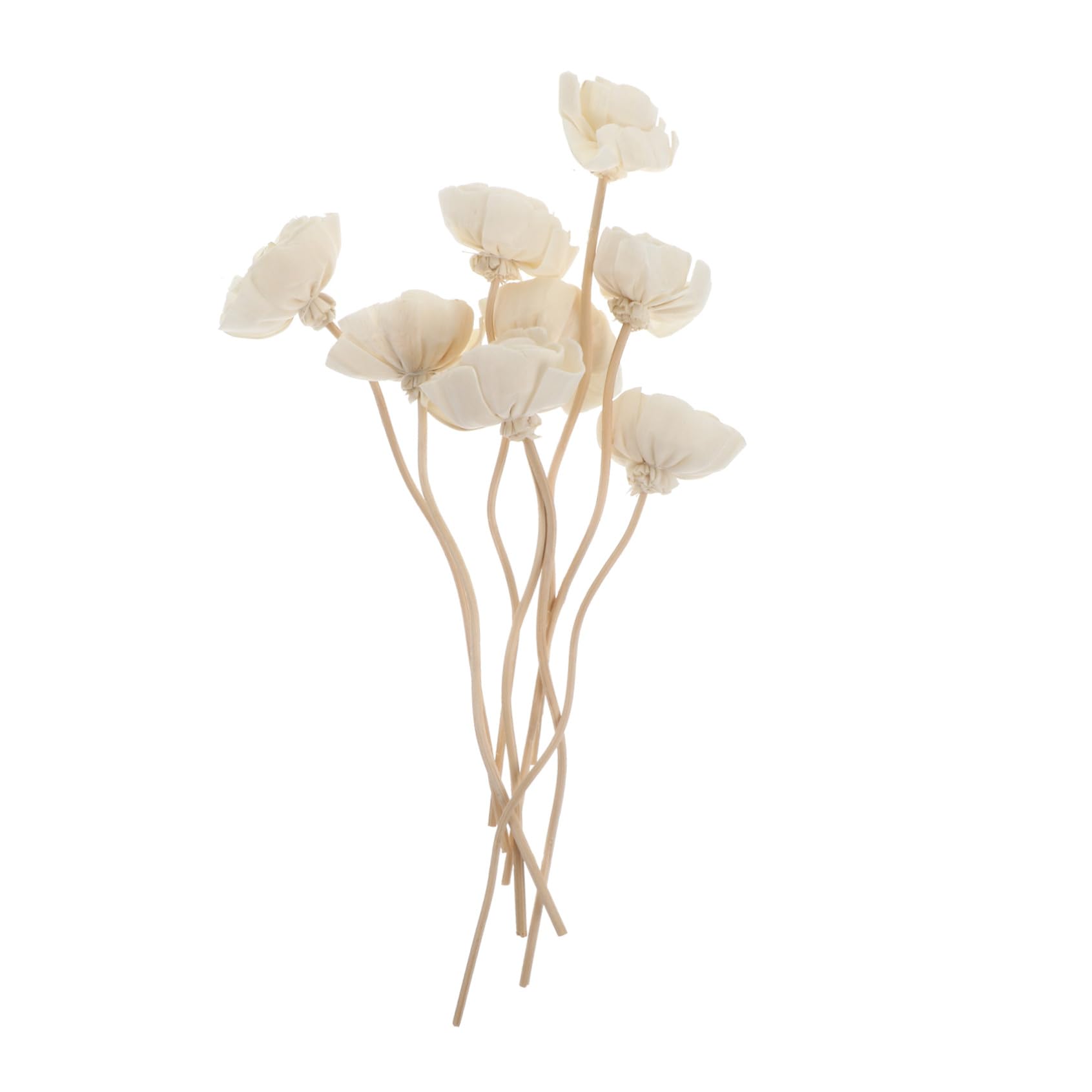 GLEAVI 5 Sätze Rattan Aroma Stäbe Für Duftdiffuser Natürliche Duftöle Dekorative Sticks Für Aromatherapie Und Raumduft Für Wohnzimmer Badezimmer Und Schlafzimmer 8 Stück * 5