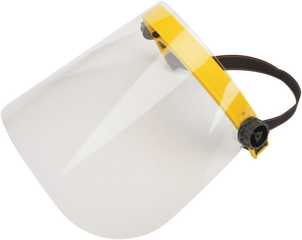 Face Shield with Flip-up Visor (Set of 2)