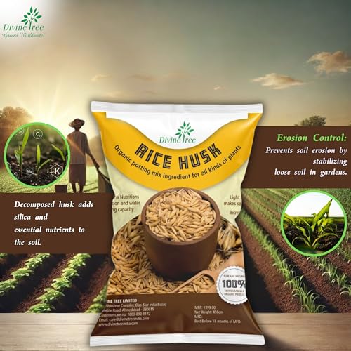 Image of DIVINE TREE Organic Rice Husk for Plants | Paddy Husk Soil Conditioner & Potting Mix Additive for Gardening | Improves Aeration, Drainage & Water Retention | Natural Mulch (450gram)