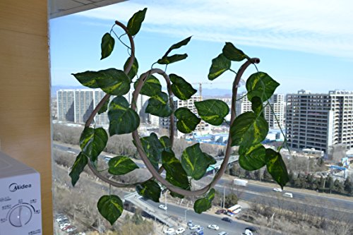 pranovo Reptile Climbing Branch Jungle Vine Terrarium Vines Flexible Pet Habitat Decor with Suction Cups and Realistic Vine Leaf for Crested Gecko Lizard Spider Scorpion Snake Other Small Animals