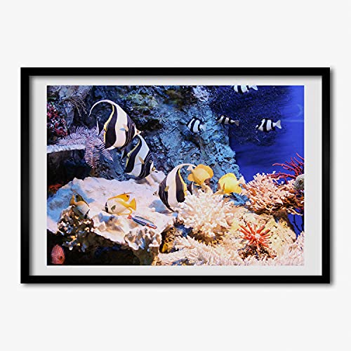 Cadre photo récif corallien Tulup pour raviver un mur blanc