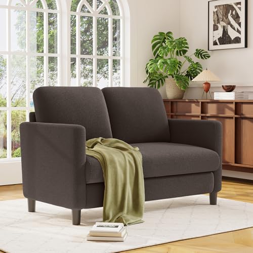 Image of Welzona Loveseat, 51 inch Small Couch, Teddy Love Seat, Small Loveseat Sofa