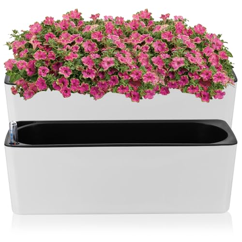 Jardinière réserve d'eau avec indicateur de niveau et drainage - 2