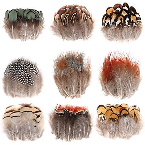 MWOOT 9 Styles Assorted Craft Feathers (180Pcs), Natural Chicken Feathers for DIY Earring Wings Dream Catcher Crafts Activities Project Wedding Party Home Decoration Cover