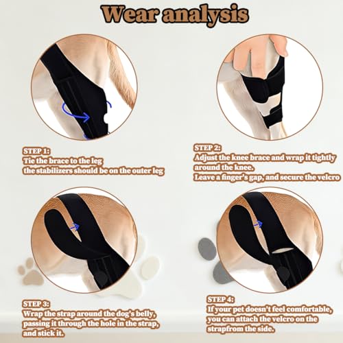 YUVKIN 1 Pcs Knieschützer für Hunde, Stütze für Hinterbeine von Hunden, aus Neopren, geeignet für Kreuzbandrisse, Bänderverletzungen, Patellaluxation oder Osteoarthritis (Größe XL)