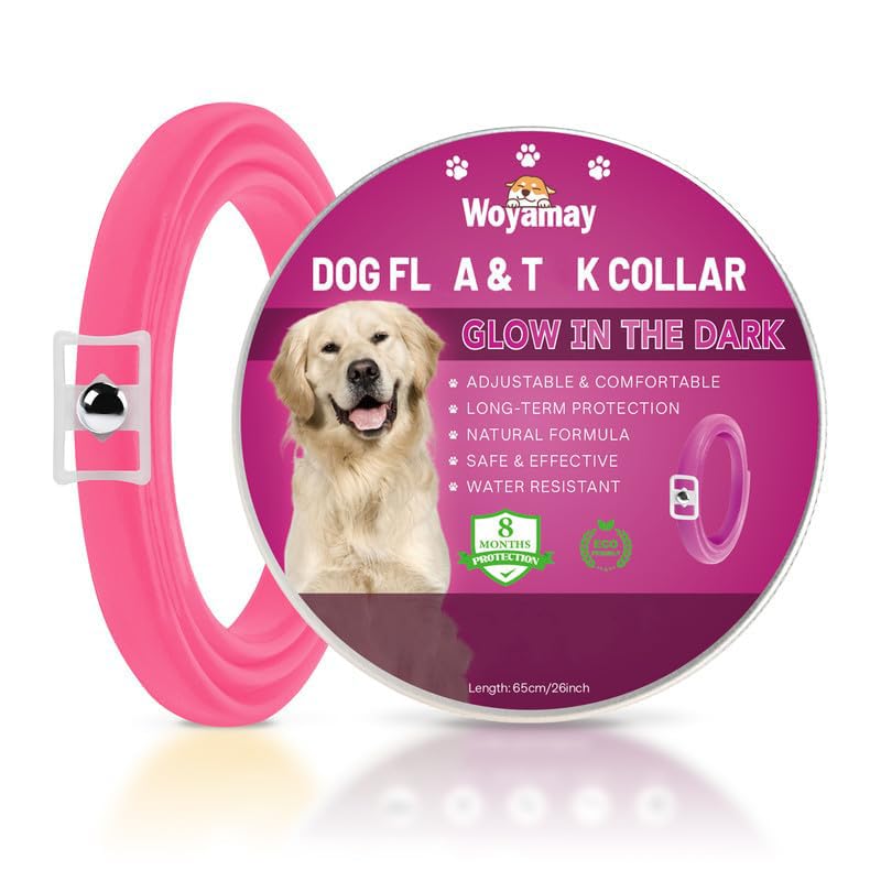 Woyamay Collar Antiparasitario Perros, Luminoso Collar Antipulgas Perros, 65cm Eficaz Collar Perro de Pulgas y Garrapatas, 8 Meses de Protección, Impermeable para Pequeño Mediano Grandes Perros, Rosa
