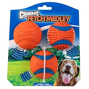 Chuckit! Dog Balls – Interactive Dog Toys, High-Bounce Fetch Ball, Ultra and Rugged Balls, Durable – Size Medium, 2.5-inch Diameter, Set of 3