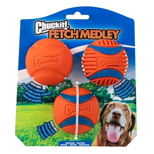 Chuckit! Ultra and Rugged Dog Balls, High-Bounce Fetch, Medium, Set of 3