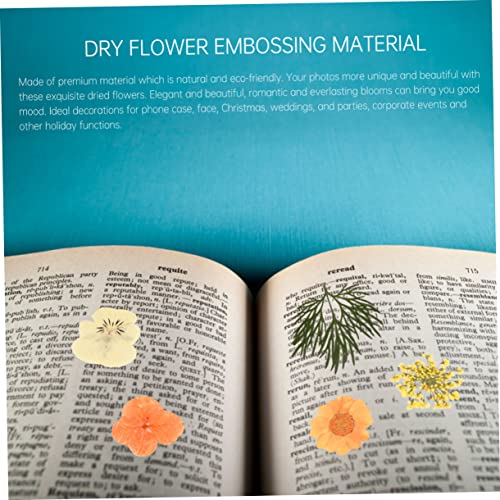 40 Adhesivos de Flores Secas para Manualidades miniatura 3