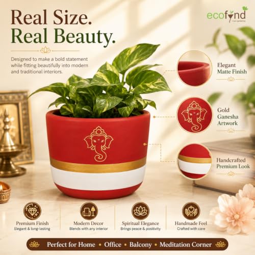 Image of ecofynd 4.5 Inch Ganesha Symbol Terracotta Pot for Indoor & Outdoor Plants, Decorative Flower Pot for Tulsi, Succulents, Herbs, Balcony, Home Temple, Living Room & Office Decor (TPOT012-BRNWHT)