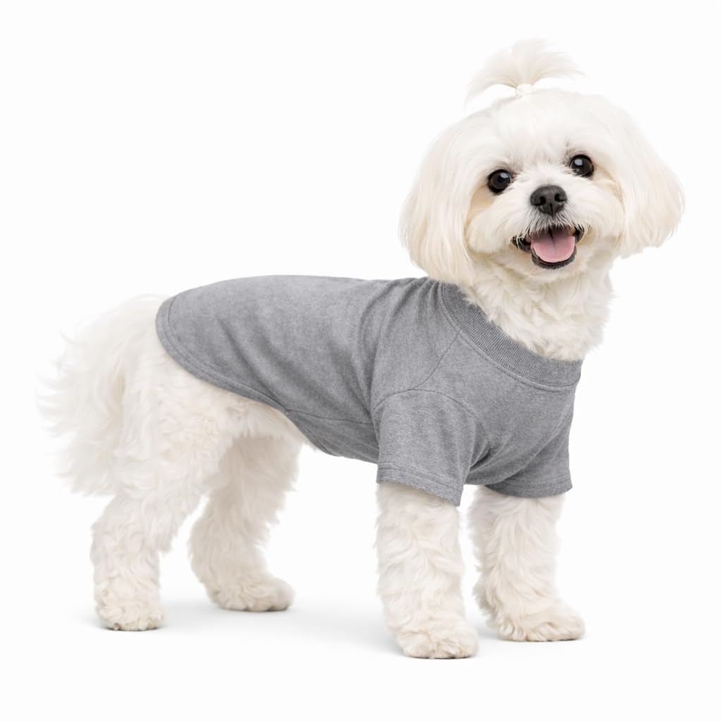 Lovelonglong Pet Clothing Dog Costumes Basic Blank T-Shirt Tee Shirts for Small Dogs Gray M