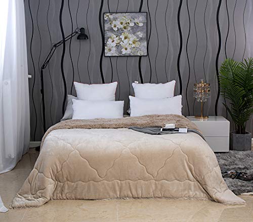 MOHAP Couette 220x240cm Épais Hiver en Flanelle Beige 250g/? Polaire Couverture Doux Chaude Courtepointe Édredon Literie Matelassée pour 2 Personnes
