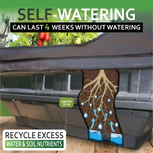 Vegepod Indoor Grow Tent Kit – Self Watering with LED Light – Reflective Grow Tent Complete System, Trolley Stand – All-in-One Indoor Gardening Solution – Grow Tent – Medium Kit – 39” x 39” x 78” - Image 5