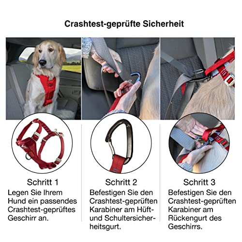 Kurgo TRU-Fit Hundegeschirr, Crash-Test-erprobtes Auto-Sicherheitsgurt, Für Hunde von 2 bis 5 kg, Größe M, Schwarz